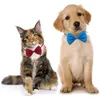 Cingi per cognanti per cingi con fiocchi collare collare catch cravatta per piccoli animali domestici per curare gli accessori per la cura