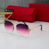 2023 Rayben Sun Glass Marca de moda de lujo Gafas de sol Hombres y mujeres Diseñador de moda Pola Polaroid Nylon HD Lente Diseño sin montura Color 7