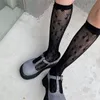 Erkek çoraplar 2023 hizmetçi lolita diz yüksek cosplay kostümleri naylon dantel gevşek anime karikatür kız hediye kadın jk seksi tüp balık ağ