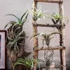 Dekorativa blommor 8pack konstgjorda ananasgräs luftväxter falska faux flocking tillandsia bromeliader hem trädgårdsdekor