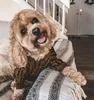 Moda cães roupas luxuris designers de marca de cachorro