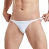 Underbyxor 3st/Lot Sexiga män Briefs Underkläder Soft Mini Bikini Transparent Low Rise Male Slip Homme Silk Panties Underkläder