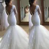 New Arrival Smiple Lace Elegant Boutique Mermaid Wedding Dress Illusion See Through Long Sleeve Bridal Gown V Neck Beaded Mermaid Weddings