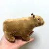 Capybara gnagare docka plysch leksaksimulering docka grossist