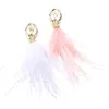 Brooches The Pink And White Feather Ballerina Brooch Is Elegant Delicate With Rhinestone For Women