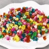 Decorative Flowers & Wreaths 100/200PCS Dried Brazil Little Star Flower For DIY Art Craft Epoxy Resin Candle Making JewelleryDecorative