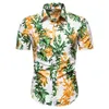 Heren t-shirts t-shirts voor Manstreetshort Hawaiian Casual Shirt Loose Holiday Ethnic Streetwear