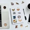 100PCS Animal Owl Graffiti Stickers For Skateboard Car Baby Scrapbooking Pencil Case Diary Phone Laptop Planner Decoration Book Album Kids Toys DIY Decals