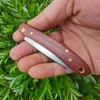 H2373 Folding Blade Fruit Knife 420C Satin Blade Trähandtag utomhus camping vandring EDC Pocket Mapp Knives 1688