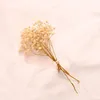 Dekoratif Çiçekler Doğal Taze Kurutulmuş Korunmuş Küçük Buket Kuru Pografi Dekorasyon Aracı Sevgililer Günü
