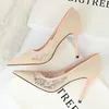 Women Fashion Sexy Pumps High Heels Shoes Female Sexy Wedding Shoes Ladies Stiletto Women New Pointed Toe Mesh Hollow Lace Heels