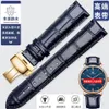 Butterfly Buckle Watch Band 12mm 14mm 15mm 16mm 18mm 19mm 20mm 22mm 24mm Blue Leather watchbands with Gold Stainless Steel Strap F285q