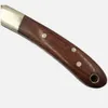 H6882 Kitchen Fruit Folding Knife 420C Satin Blade Wood with Brass Head Handle Small EDC Pocket Folder knives