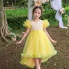 Girl's Dresses Summer Girls Fluffy Princess Dress Teen Girl First Communion Ceremony Long Trailing Clothing Kids Bridesmild Party Vestidos W0224