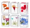 Fermacarte di fiori pressati Scoperta scientifica Collezione di campioni di fiori veri Campioni in resina Fermacarte Cube per bambini Bomboniere Chiaramente