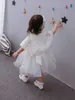 Girl's Dresses Brand Newborn Baby Girl Dresses Princess Baby Infant Christening Gowns 1 year Birthday Dress vestido infantil for 0-2 years