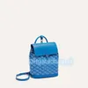 مصمم مزدوج الكتف المدارس المدارس Alpin Mini Women's Schoolbag Luxury Women Crossbody Bag Gy Clutch Men Schoolbag Pocket Alma BB Bast