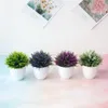 Decorative Flowers 1PC Colorful Artificial Plant Bonsai Small Tree Grass Potted Fake Simulation Plastic Arrangement Home Decoration Ornament