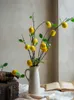 Fleurs décoratives pour la maison, Simulation de fruits artificiels, décoration de mariage, de noël, ornements de table d'intérieur, cadeaux nordiques