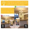 HC LED FILAMENTO NIGHT LAMP C22TG 0.5W E14 Candelabra Base Amber Glow Lámparas de velas 4W Reemplazo incandescente