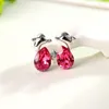 Stud Earrings ER-00044 2023 In Luxury Jewelry Silver Plated Dolphin For Women 1 Dollar Items Thanksgiving Gift