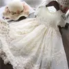Flicka klänningar blomma klänning spets broderi bollklänning för flickor formella parti solida prinsessa bröllopskläder