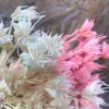 Faux Floral Greenery About 35 Flower Heads Dried Natural Flowers Branch DIY Dry Eternelle Star Anise Flower Bouquet For Home Decor Floral 230303