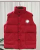 Canadien 2023 Populaire d'hiver en plein air Hommes Down Gilets Bodywarmer Vestes de mode Femmes Gilet Designer Manteau Mâle Doudoune Luxe Goose 688ss