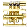 Yüksek kaliteli Jüpiter BB Cornet JCR-700 Pirinç Trompet Uluslararası Müzik Enstrümanı Profession Vaka Ücretsiz Nakliye
