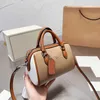 Luxuries Designer Bag 6 Color Leather Shoulder Bags Women Fashion C Letters Print Purse Handbag Beach Tote Bag Wallet 230303
