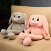 nieuwe pop oor konijn pop intrekbare ins schattige pluche konijnDolls speelgoed fabriek directe verkoop