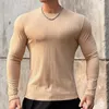 Camisetas para hombre, camiseta de Fitness para gimnasio, camiseta informal de manga larga ajustada para hombre, camisetas de culturismo para hombre, camisetas deportivas para correr, entrenamiento de secado rápido