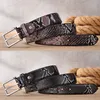 Belts Fashion Desinger Belts For Men Luxury Snake Pattern Men's Accessories Trouser Leather Western Belt Strap For Boy Buckle Metal Z0228