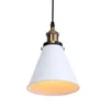 Lâmpadas pendentes Retro Loft Frept Light para decoração da sala de estar Industrial Hanglampen Lâmpada vintage E27 AC 110V-220V