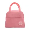 Borse portaoggetti Fresh Cooler Borsa termica per il pranzo per donna Bambini Scatola termica portatile impermeabile Borsa per impacchi di ghiaccio Cibo Picnic