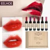 Lipgloss 6 kleuren/set wijn langdurige waterdichte vlek matte vloeibare lippen voor meisjes en vrouwen