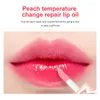 Lip Gloss Moisturizing Peach Pink Color Changing Oil Waterproof Non-stick Cup Liquid Lipstick Women Tint Makeup