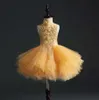 Mädchenkleider Goldene Spitze Stickerei Baby Mädchen Kleid Taufkleid für die Taufe Neugeborenes Kind Mädchen Geburtstag Kleinkind Party Kleider Prinzessin Kleid