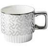 Muggar Light Luxury Silver Mug Ceramic Cup Home Par Drinking Coffee Designer Water Girl Teacup Cups