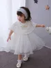 Girl's Dresses Brand Newborn Baby Girl Dresses Princess Baby Infant Christening Gowns 1 year Birthday Dress vestido infantil for 0-2 years