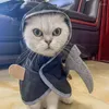 Kedi Kostümleri Cosplay Pet Cadı Şapkası Köpek Partisi için Yansıtıcı Kenar ile Cadılar Bayramı Pelerin Pelerin