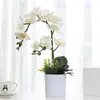 Fiori decorativi Phalaenopsis bianchi simulati fiori finti in vaso Arredamento per la casa Decorazione artigianato Soggiorno Ornamenti da tavola