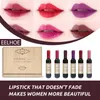 Lipgloss 6 kleuren/set wijn langdurige waterdichte vlek matte vloeibare lippen voor meisjes en vrouwen