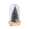 Albero di decorazioni natalizie con stringa di luci a LED in cupola di vetro, alimentato a batteria, decorazioni natalizie per interni festivi Ztou