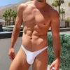 Sous-vêtements Low Wasit sous-vêtements en coton hommes slips culottes sexy pour Gay confortable Bikini bref séchage rapide Cueca hommes LingerieUnderpants