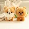 Peluş Bebekler Kawaii Feribot Köpek Oyuncak Dolgulu Corgi Tibet Mastiff Husky Yorkshire Shiba Inu Chow Bichon Fris Dogs Çocuklar için 230303