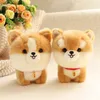 Peluş Bebekler Kawaii Feribot Köpek Oyuncak Dolgulu Corgi Tibet Mastiff Husky Yorkshire Shiba Inu Chow Bichon Fris Dogs Çocuklar için 230303