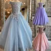 Sky-Blue Girl Pageant Dress 2023 Rose Embroidery Sequins Lace Shimmer Little Kid Birthday Formal Party Gown Infant Toddler Teens Tiny Young Junior Miss Lilac Blush