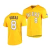 16 Brady Neal College LSU Tigers Baseball Jersey Alex Bregman LeMahieu Aaron Nola Aaron Hill Jared Jones Dylan Crews Tre Morgan Gavin Dugas Chase Shores Jerseys