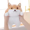 Plüschpuppen 3655, süßes dickes Shiba-Inu-Hundespielzeug, gefüllt, weiches Kawaii-Tier-Cartoon-Kissen, schönes Geschenk für Kinder, Babys, Kinder, gute Qualität, 230303